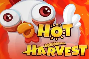 Hot Harvest